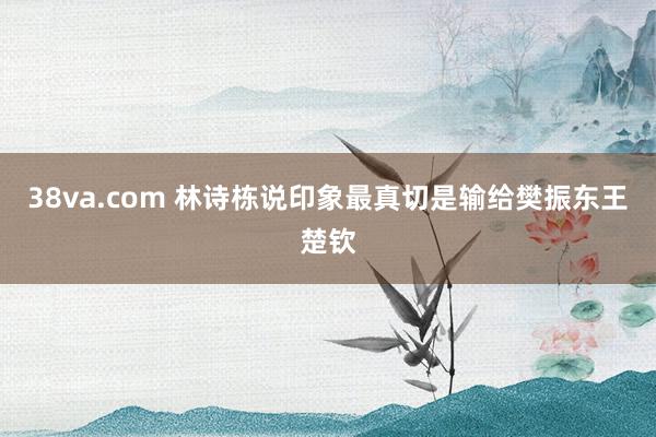 38va.com 林诗栋说印象最真切是输给樊振东王楚钦
