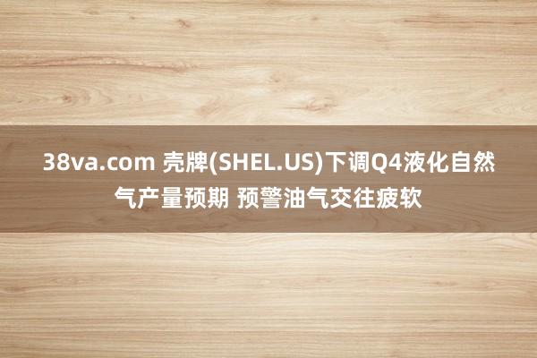 38va.com 壳牌(SHEL.US)下调Q4液化自然气产量预期 预警油气交往疲软