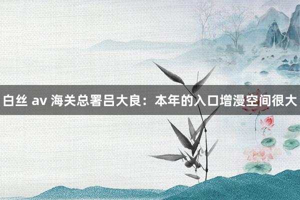 白丝 av 海关总署吕大良：本年的入口增漫空间很大