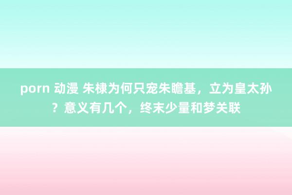 porn 动漫 朱棣为何只宠朱瞻基，立为皇太孙？意义有几个，终末少量和梦关联
