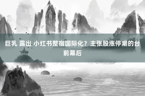 巨乳 露出 小红书整宿国际化？主张股涨停潮的台前幕后