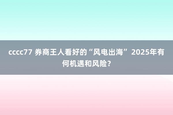 cccc77 券商王人看好的“风电出海” 2025年有何机遇和风险？