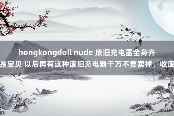 hongkongdoll nude 废旧充电器全身齐是宝贝 以后再有这种废旧充电器千万不要卖掉,收废