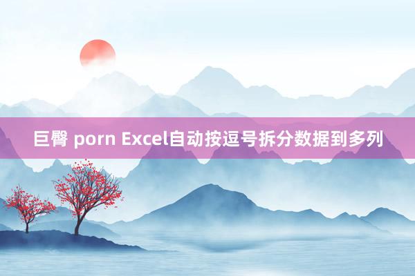 巨臀 porn Excel自动按逗号拆分数据到多列