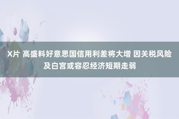 X片 高盛料好意思国信用利差将大增 因关税风险及白宫或容忍经济短期走弱