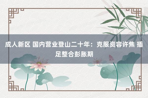 成人新区 国内营业登山二十年：克服资容许焦 插足整合彭胀期