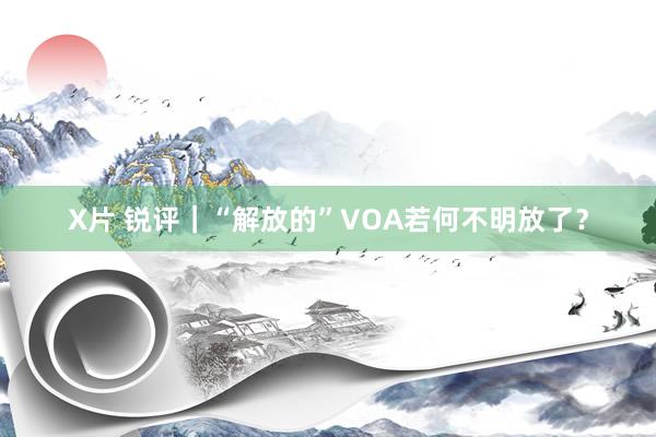 X片 锐评｜“解放的”VOA若何不明放了？