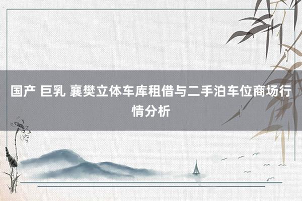 国产 巨乳 襄樊立体车库租借与二手泊车位商场行情分析