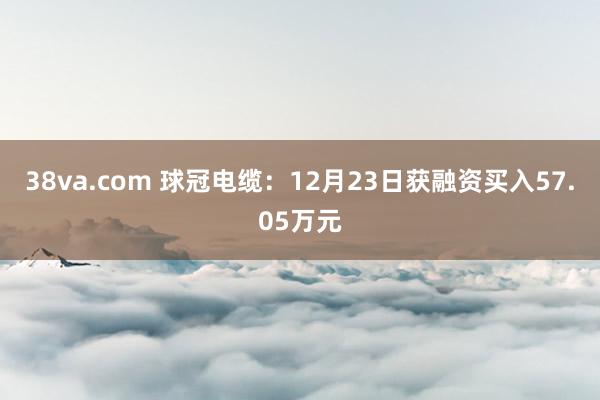 38va.com 球冠电缆：12月23日获融资买入57.05万元