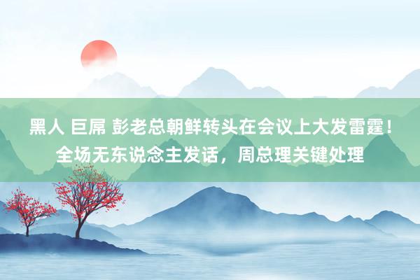 黑人 巨屌 彭老总朝鲜转头在会议上大发雷霆！全场无东说念主发话，周总理关键处理