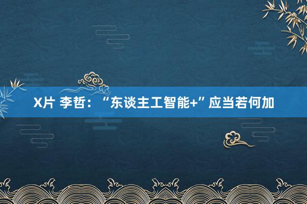 X片 李哲：“东谈主工智能+”应当若何加