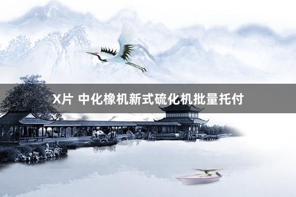 X片 中化橡机新式硫化机批量托付