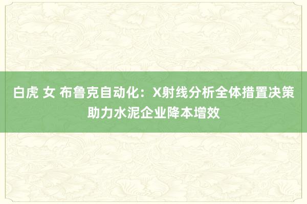 白虎 女 布鲁克自动化：X射线分析全体措置决策助力水泥企业降本增效