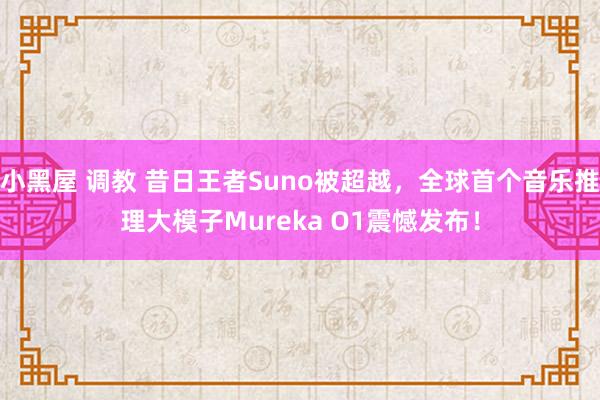 小黑屋 调教 昔日王者Suno被超越，全球首个音乐推理大模子Mureka O1震憾发布！