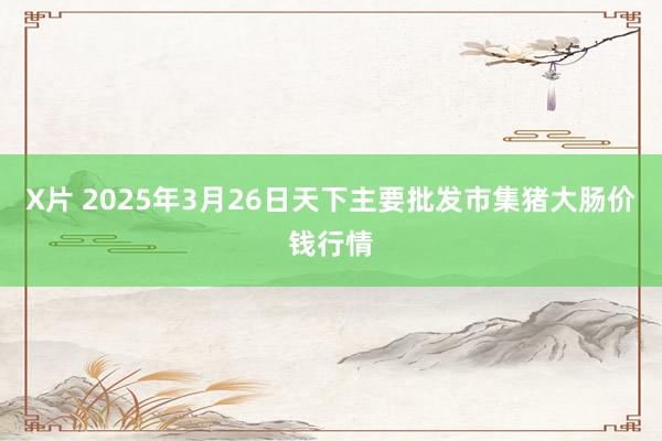 X片 2025年3月26日天下主要批发市集猪大肠价钱行情