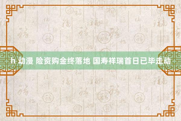 h 动漫 险资购金终落地 国寿祥瑞首日已毕走动