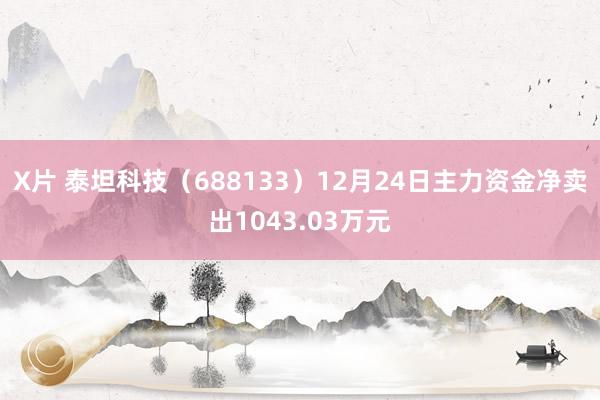 X片 泰坦科技（688133）12月24日主力资金净卖出1043.03万元