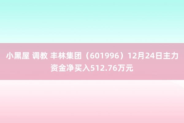 小黑屋 调教 丰林集团（601996）12月24日主力资金净买入512.76万元
