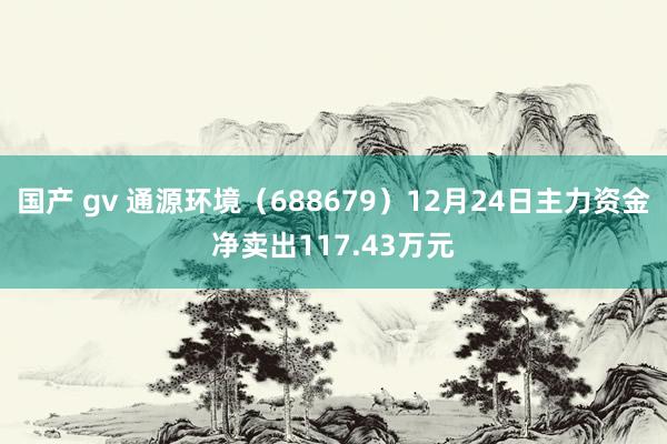 国产 gv 通源环境（688679）12月24日主力资金净卖出117.43万元