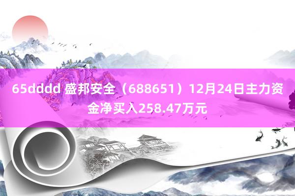 65dddd 盛邦安全（688651）12月24日主力资金净买入258.47万元