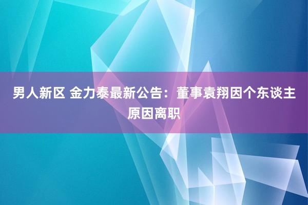 男人新区 金力泰最新公告：董事袁翔因个东谈主原因离职