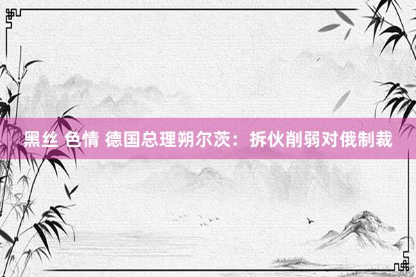 黑丝 色情 德国总理朔尔茨：拆伙削弱对俄制裁