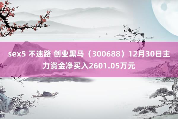 sex5 不迷路 创业黑马（300688）12月30日主力资金净买入2601.05万元