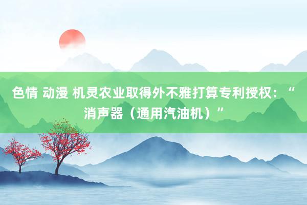 色情 动漫 机灵农业取得外不雅打算专利授权：“消声器（通用汽油机）”