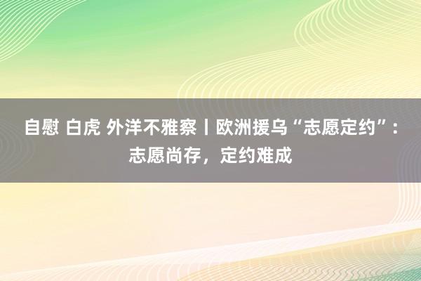 自慰 白虎 外洋不雅察丨欧洲援乌“志愿定约”：志愿尚存，定约难成