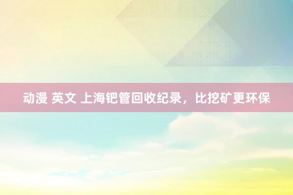 动漫 英文 上海钯管回收纪录，比挖矿更环保