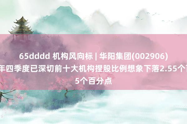 65dddd 机构风向标 | 华阳集团(002906)2024年四季度已深切前十大机构捏股比例想象下落2.55个百分点