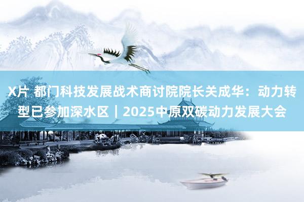 X片 都门科技发展战术商讨院院长关成华：动力转型已参加深水区｜2025中原双碳动力发展大会