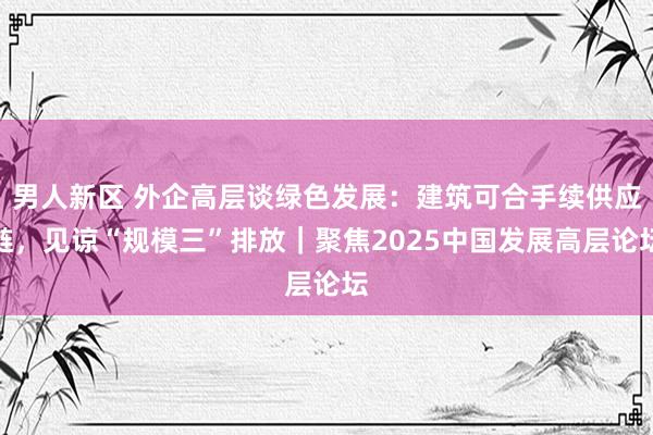 男人新区 外企高层谈绿色发展：建筑可合手续供应链，见谅“规模三”排放｜聚焦2025中国发展高层论坛