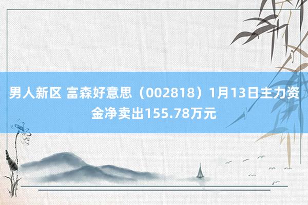 男人新区 富森好意思（002818）1月13日主力资金净卖出155.78万元