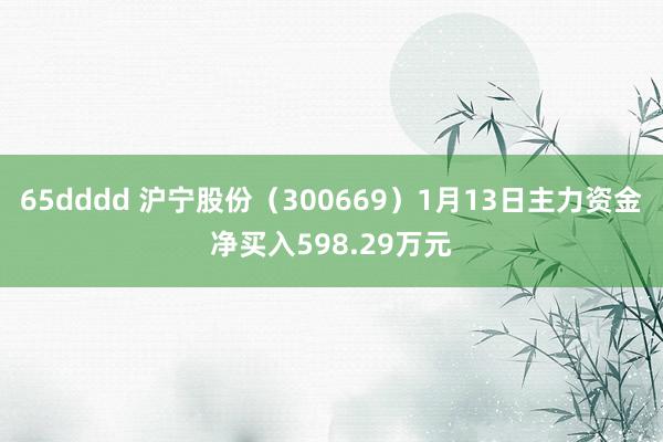 65dddd 沪宁股份（300669）1月13日主力资金净买入598.29万元