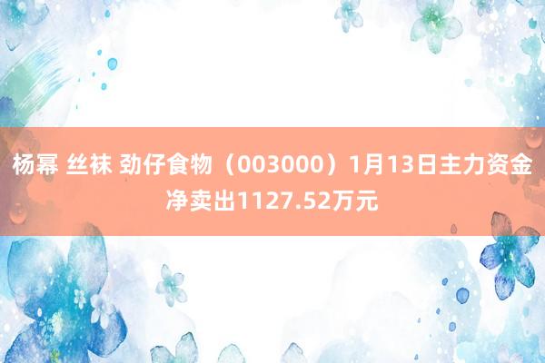 杨幂 丝袜 劲仔食物（003000）1月13日主力资金净卖出1127.52万元