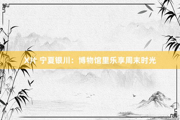 X片 宁夏银川：博物馆里乐享周末时光