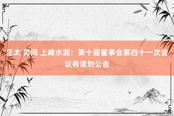 正太 男同 上峰水泥：第十届董事会第四十一次会议有谋划公告
