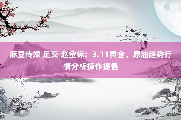 麻豆传媒 足交 赵金标：3.11黄金、原油趋势行情分析操作提倡