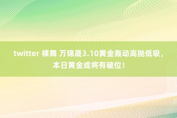 twitter 裸舞 万锦晟3.10黄金轰动高抛低吸，本日黄金或将有破位！