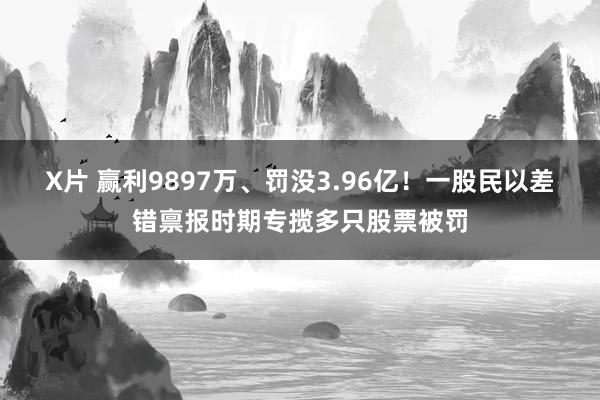 X片 赢利9897万、罚没3.96亿！一股民以差错禀报时期专揽多只股票被罚