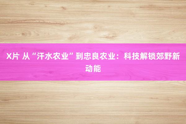 X片 从“汗水农业”到忠良农业：科技解锁郊野新动能