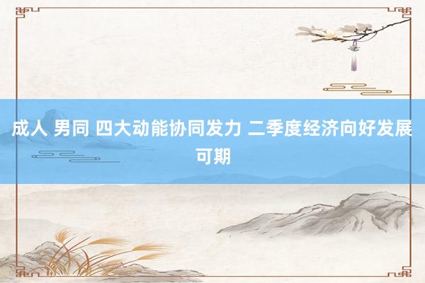 成人 男同 四大动能协同发力 二季度经济向好发展可期
