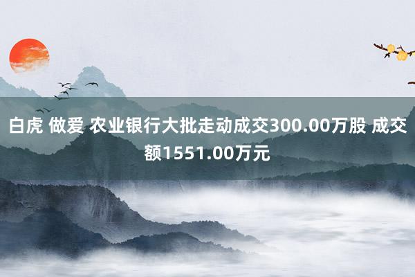 白虎 做爱 农业银行大批走动成交300.00万股 成交额1551.00万元