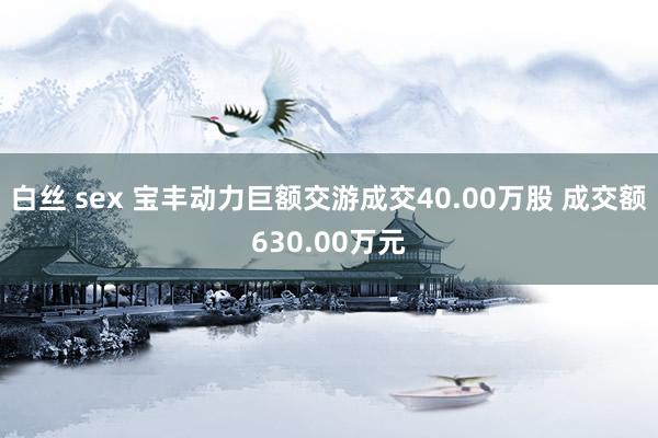 白丝 sex 宝丰动力巨额交游成交40.00万股 成交额630.00万元