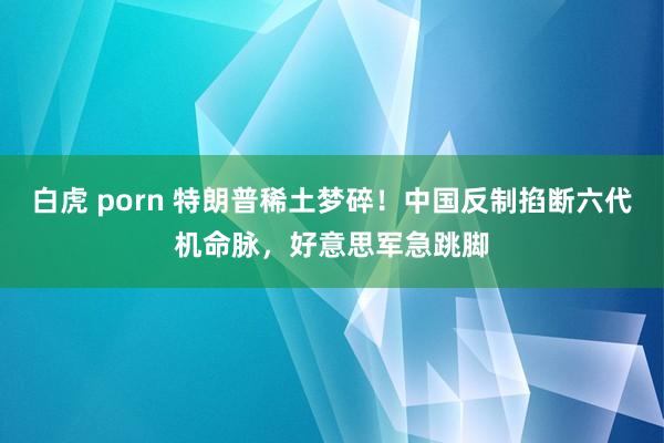 白虎 porn 特朗普稀土梦碎！中国反制掐断六代机命脉，好意思军急跳脚