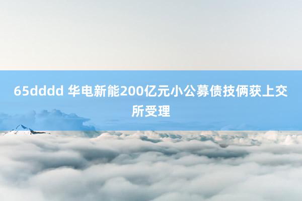 65dddd 华电新能200亿元小公募债技俩获上交所受理