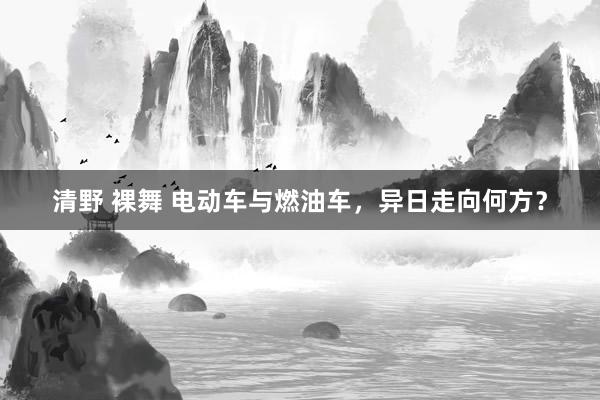 清野 裸舞 电动车与燃油车，异日走向何方？