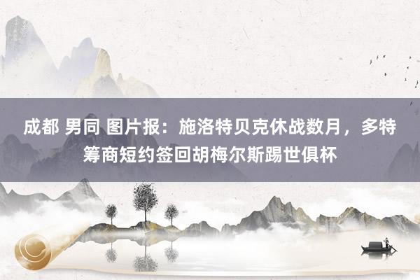 成都 男同 图片报：施洛特贝克休战数月，多特筹商短约签回胡梅尔斯踢世俱杯
