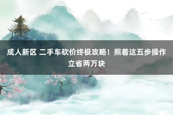成人新区 二手车砍价终极攻略！照着这五步操作立省两万块